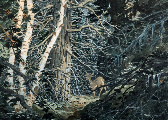 Cost and Value in a Druid World