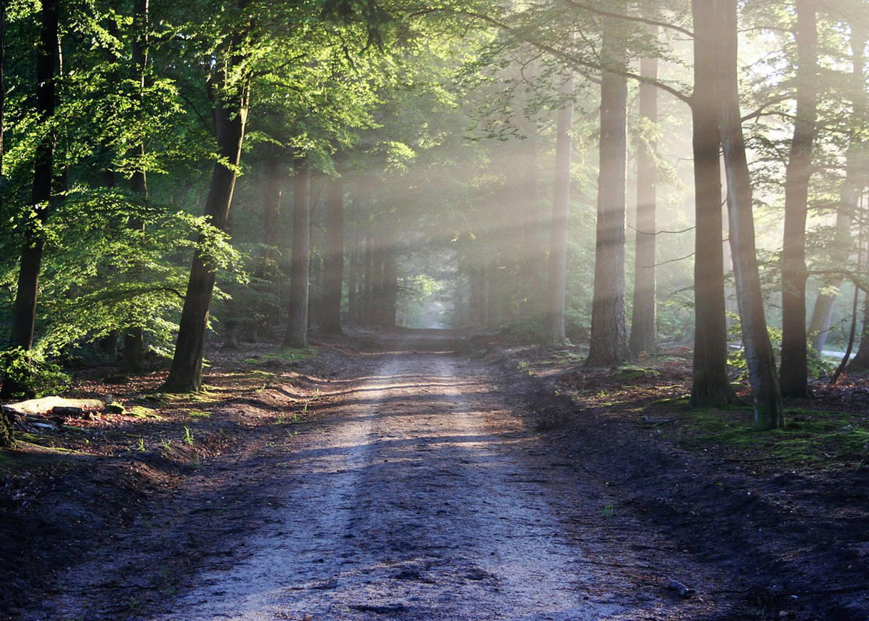 Relationship Stories and Questions of Self