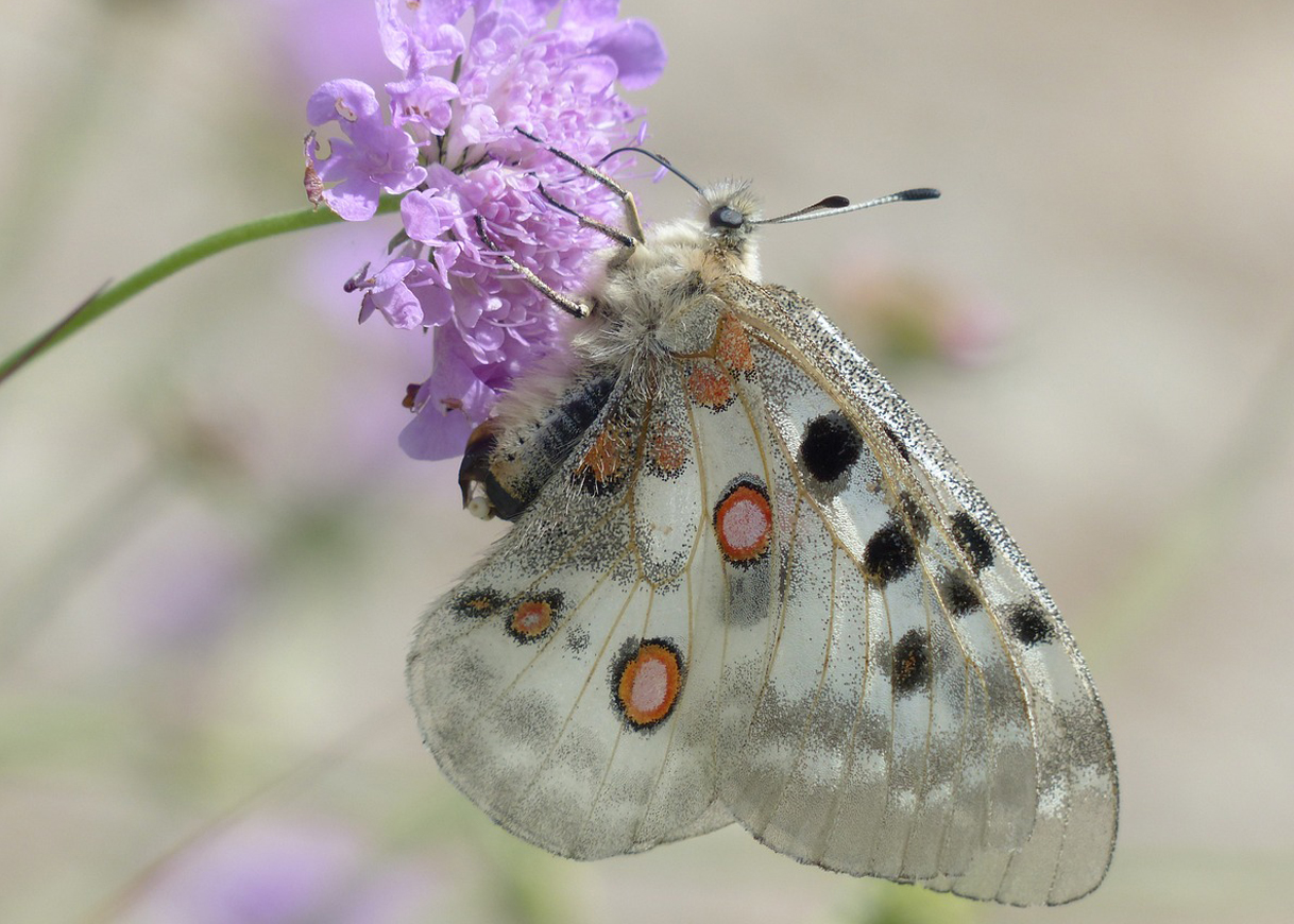 Talking About Activism