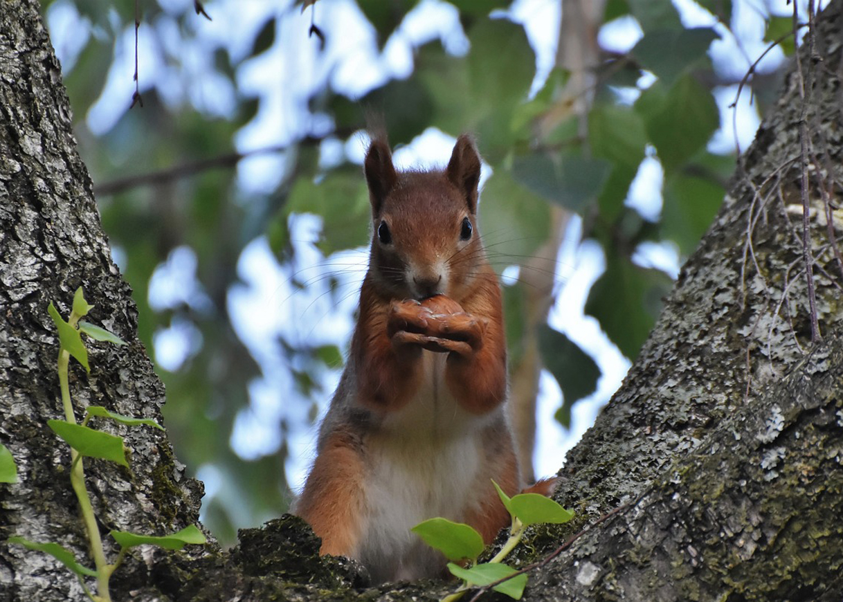 A Bit Worried or Suffering Anxiety?