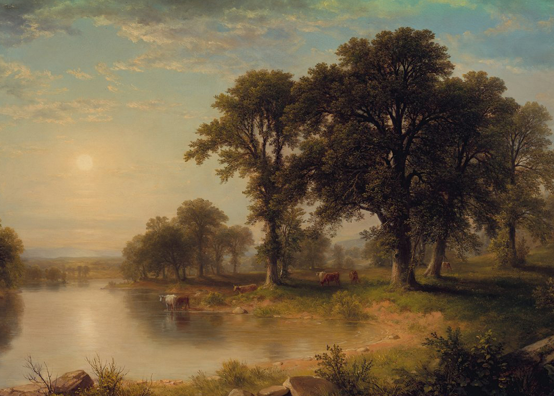 The Politics of Madness