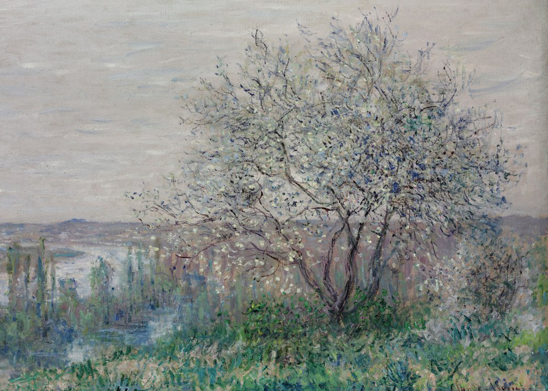 Dock: Keeps the Doc Away