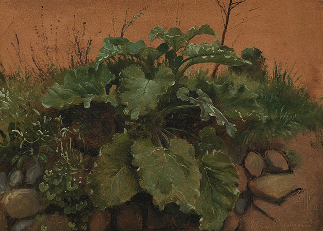 Burdock: The Foolish Wooer