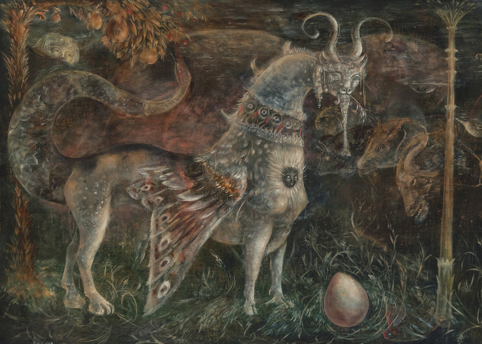 Finding Fairies